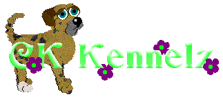 CKLogo.gif (7014 bytes)