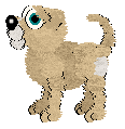 Spice.gif (3516 bytes)
